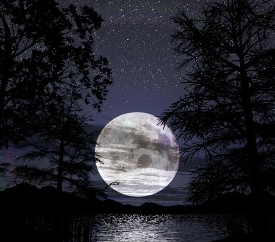 notte